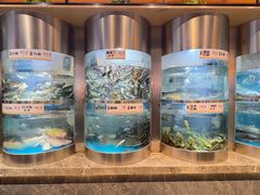 -老船舫·现做活鲜鱼馆(东郊记忆店)