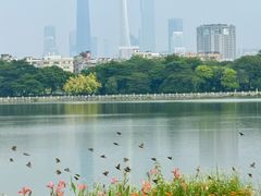 -海珠湖公园