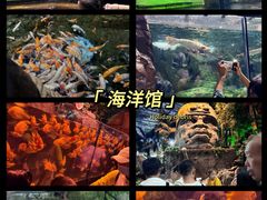 -北京海洋馆