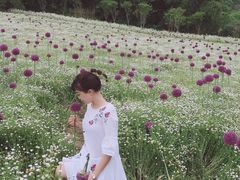 -保利石象湖景区