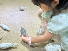 -嘉兴海底世界