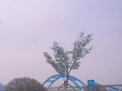 -钱塘江