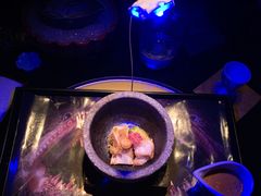-地球美食剧场