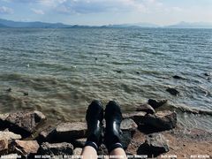-深圳湾公园(南山区)
