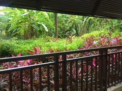 -西双版纳融创皇冠假日度假酒店