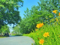 -盘龙城国家考古遗址公园