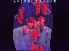 -李东农庄(中南百草园地标店)