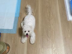 -美联众合动物医院·24h京西诊疗中心
