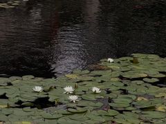 -东山雕花楼