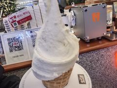 香草牛乳冰淇淋-野人先生Gelato(上海长宁龙之梦店)