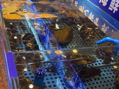 -鱼满舱·鲜活海鲜·正宗鲁菜