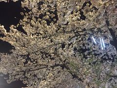 -艾蜜西餐厅(梅园店)