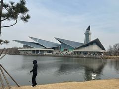 -盐城丹顶鹤湿地生态旅游区