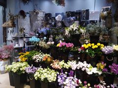-ChaKo Flora ·茶子花艺 (市北店)
