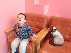 -藏猫猫咖啡主题馆(中央大道店)