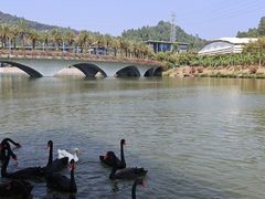 -中国移动南方基地