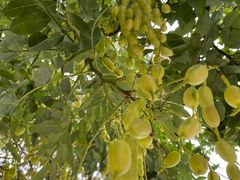 -南京市无想山景区