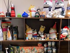 零售区-逗柴咖啡屋·狗咖猫咖宠物桌游