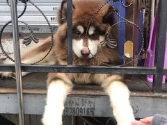 -赵伍面庄(松石大道店)