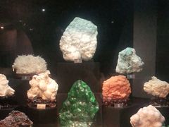 -烟台自然博物馆