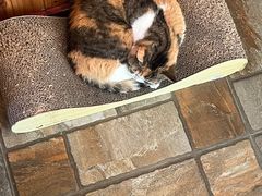 -隅cafe(傅厚岗店)