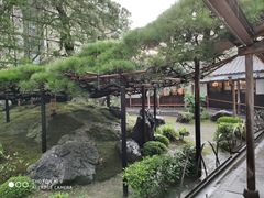 -中村藤吉(本店)