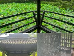 -兰亭风景区