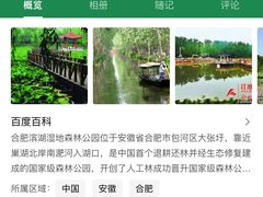 -合肥滨湖国家森林公园