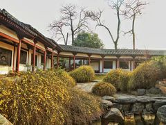 -西安青龙寺遗址景区
