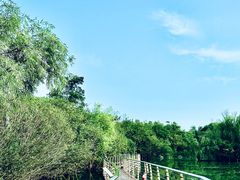 -上海吴淞炮台湾国家湿地公园