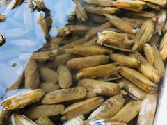 -胜海大排档·海鲜·黄鳝饭(十年老店)