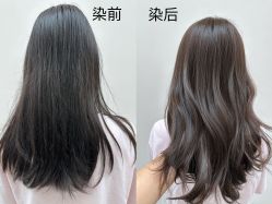-八佰伴8008星级形象店