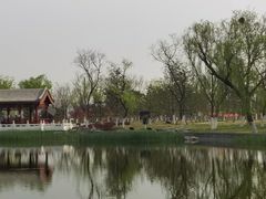 -西海子公园
