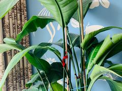 -木子塘汗蒸生活馆(财富港店)