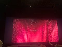 -奥斯卡升龙国际影城(RealD Cinema)