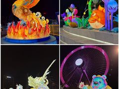 -海合安武汉极地海洋公园
