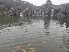 -白马涧龙池景区