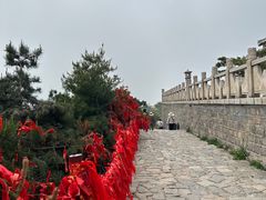 -泰山风景名胜区