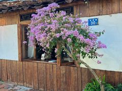 -求生煎包(武夷小区店)