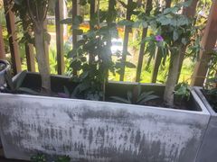 -茶油香·闽南菜(前埔店)