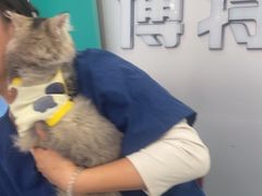 -博特宠物医院24h犬猫全科.骨科·异宠