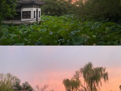-盆景园(扬州大运河文化旅游度假区)