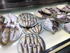 -日丰园海肠水饺·老字号大连海鲜(和平广场店)
