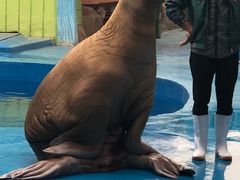 -华夏文旅海洋公园