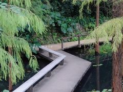 -广州兰圃