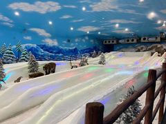 -世界之窗阿尔卑斯冰雪世界