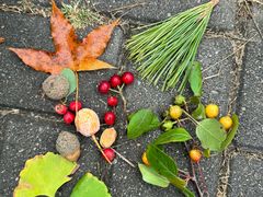-国家植物园南园