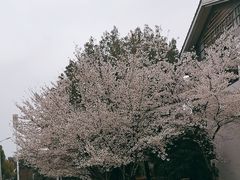 -石湖景区