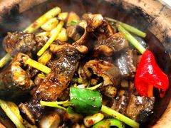 -天宝食坊·啫啫煲大排档(西华路店)