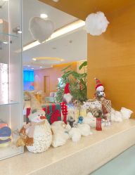 -杭州贝瑞斯美华妇儿医院·早孕·产检·儿科